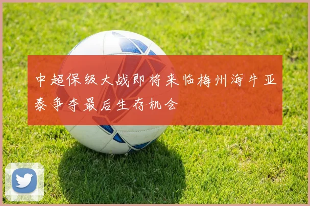 中超保级大战即将来临梅州海牛亚泰争夺最后生存机会