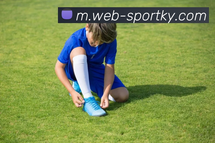 开云体育APP 封面图